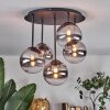 Chehalis Plafonnier, Boule lumineuse Clair, Fumé, 5 lumières