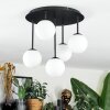 Chehalis Plafonnier, Boule lumineuse Blanc, 5 lumières