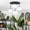 Chehalis Plafonnier, Boule lumineuse Blanc, 5 lumières
