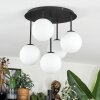 Chehalis Plafonnier, Boule lumineuse Blanc, 5 lumières