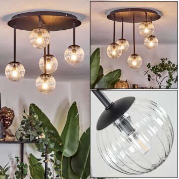 Chehalis Plafonnier, Boule lumineuse Clair, 5 lumières