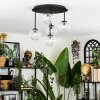 Chehalis Plafonnier, Boule lumineuse Clair, 5 lumières