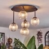 Chehalis Plafonnier, Boule lumineuse Clair, 5 lumières