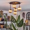Chehalis Plafonnier, Boule lumineuse Ambre, 5 lumières