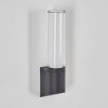 Isara Lampe murale d´extérieur, Applique murale LED Anthracite, 1 lumière