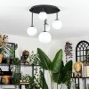 Chehalis Plafonnier, Boule lumineuse Blanc, 5 lumières