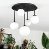 Chehalis Plafonnier, Boule lumineuse Blanc, 5 lumières