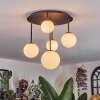 Chehalis Plafonnier, Boule lumineuse Blanc, 5 lumières