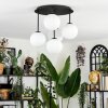 Chehalis Plafonnier, Boule lumineuse Blanc, 5 lumières