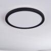 Qadir Plafonnier extérieur, Plafonnier LED Blanc, 1 lumière