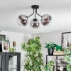 Gastor Plafonnier, Boule lumineuse Chrome, Clair, Fumé, 3 lumières