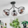 Gastor Plafonnier, Boule lumineuse Chrome, Clair, Fumé, 3 lumières