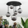 Chehalis Plafonnier, Boule lumineuse Fumé, 5 lumières