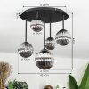 Chehalis Plafonnier, Boule lumineuse Fumé, 5 lumières