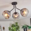 Ripoll Plafonnier, Boule lumineuse Clair, Fumé, 3 lumières