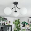 Gastor Plafonnier, Boule lumineuse Blanc, 3 lumières
