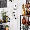 Ripoll Lampadaire Clair, 5 lumières