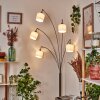 Bassagoda Lampadaire Nickel mat, Noir, 5 lumières