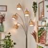 Bongal Lampadaire Nickel mat, Noir, 5 lumières