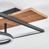 Pompu Plafonnier LED Brun, Couleur bois, Noir, 1 lumière