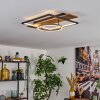 Pompu Plafonnier LED Brun, Couleur bois, Noir, 1 lumière
