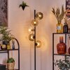 Ripoll Lampadaire Ambre, Clair, Fumé, 5 lumières