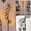 Ripoll Lampadaire Clair, Fumé, 5 lumières