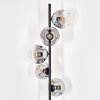 Ripoll Lampadaire Clair, Fumé, 5 lumières