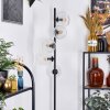 Ripoll Lampadaire Clair, 5 lumières