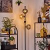 Ripoll Lampadaire Ambre, Clair, Fumé, 4 lumières