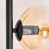Koyoto Lampadaire Ambre, Clair, 5 lumières