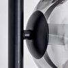 Koyoto Lampadaire Clair, Fumé, 6 lumières