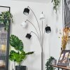 Bassagoda Lampadaire Nickel mat, Noir, 5 lumières