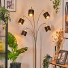 Alsen Lampadaire Laiton, Noir, 5 lumières