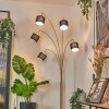 Bassagoda Lampadaire Laiton, Noir, 5 lumières