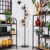 Koyoto Lampadaire Ambre, Clair, Fumé, 6 lumières