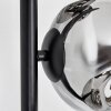 Ripoll Lampadaire Chrome, Fumé, 6 lumières