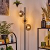 Gastor Lampadaire 34 cm Ambre, Clair, Fumé, 3 lumières