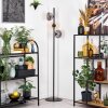 Gastor Lampadaire 34 cm Ambre, Clair, Fumé, 3 lumières