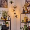Gastor Lampadaire 34 cm Ambre, Clair, Fumé, 4 lumières