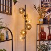 Ripoll Lampadaire Ambre, Clair, Fumé, 6 lumières