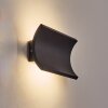 Grana Lampe murale d´extérieur, Applique murale LED Noir, 2 lumières