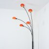 Nikkala Lampadaire Noir, 5 lumières
