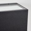 Lanor Lampe murale d´extérieur, Luminaire Up & Down, Applique murale LED Noir, 1 lumière