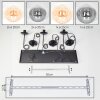 Gastor Suspension, Boule lumineuse, Suspension Ambre, Clair, Fumé, 6 lumières