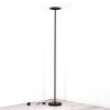Byrum Lampadaire LED Noir, 1 lumière, Changeur de couleurs