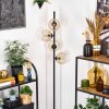 Ripoll Lampadaire Ambre, Clair, 4 lumières