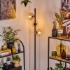 Koyoto Lampadaire Ambre, Clair, 3 lumières