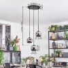 Ripoll Suspension, Boule lumineuse, Suspension grappe Chrome, Fumé, 3 lumières