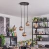 Ripoll Suspension, Boule lumineuse, Suspension grappe Chrome, Fumé, 3 lumières
